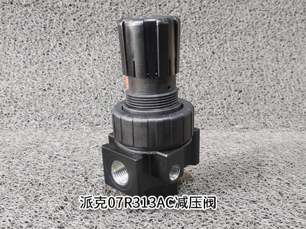 派克07R313AC