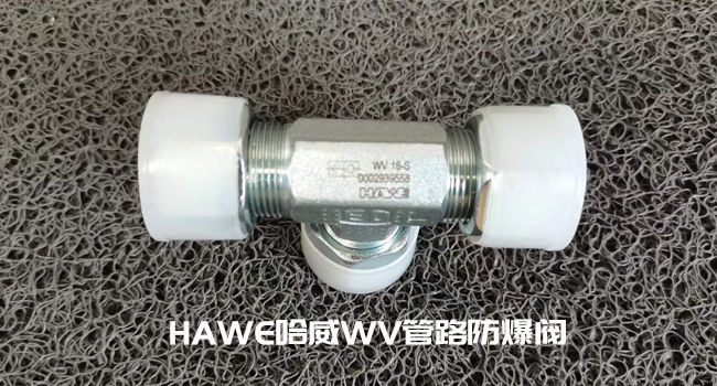 哈威WV 10-S