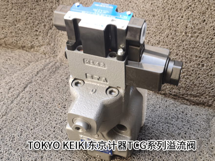 東京計(jì)器TCG50-06-F-P2-T-17 東京計(jì)器TCG50-06-F-P2-T-17